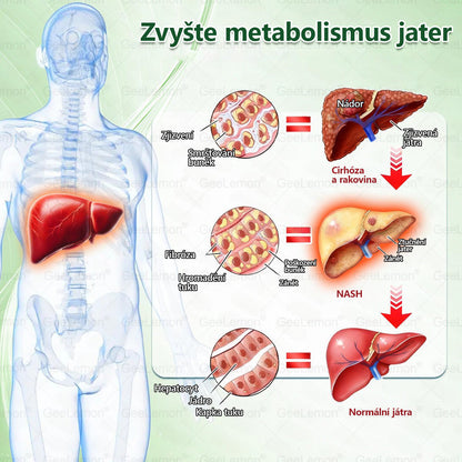 Doporučeno Fakultní nemocnicí Motol · 👩‍⚕️ Oficiální prodejna BENU | ✅ 𝐆𝐞𝑒𝑙𝑒𝐦𝐨𝐧® Glum𝐚𝐬𝐞tide 8 v 1 – Zeštíhlující nano mikrojihlový náplast 🇨🇿 Jen 1× denně ✅ Viditelné změny za 7 dní – na obezitu, kardiovaskulární zdraví, diabetes a kloubní problémy